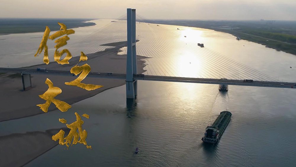 楚天都市信园解读片